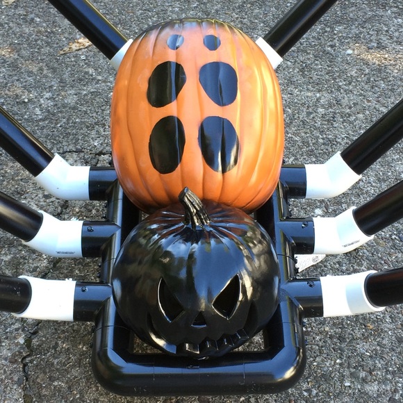 My Previous PA Home w/Hand-Crafted PVC Roof Arachnid! - Picture 4 of 4
