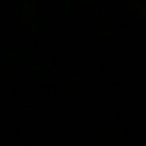 Meet your Posher, Daniela