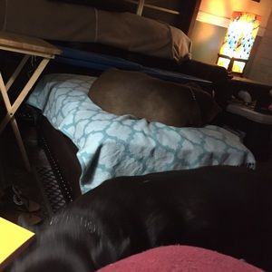 Meet your Posher, Kim