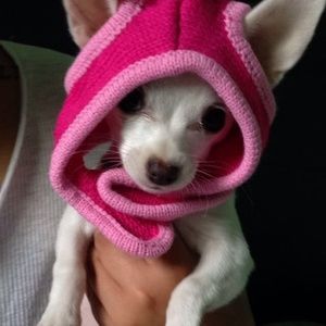 Meet your Posher, Anallely