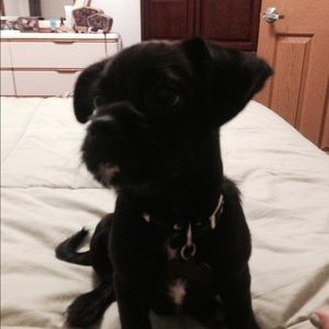 Meet your Posher, Deanna