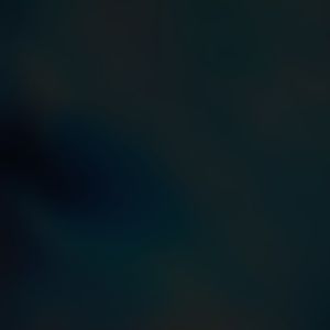 Meet your Posher, Antonio