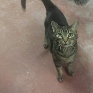 Meet your Posher, Jamie