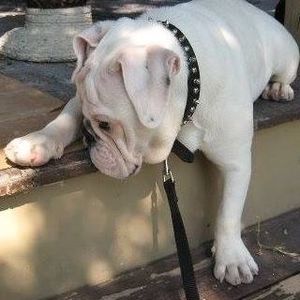 Meet your Posher, Stacy