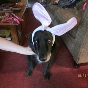 Meet your Posher, Victoria