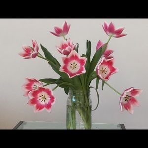 Meet your Posher, Fredrika