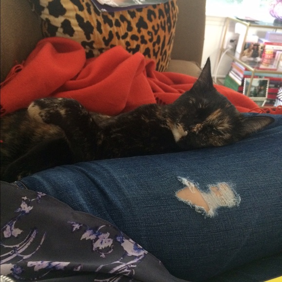 Meet your Posher, Jessica - Picture 1 of 1