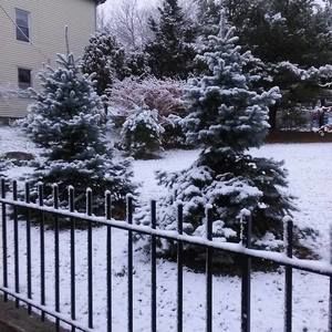 Meet your Posher, Fermin