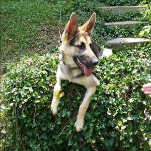 Meet your Posher, Katelin