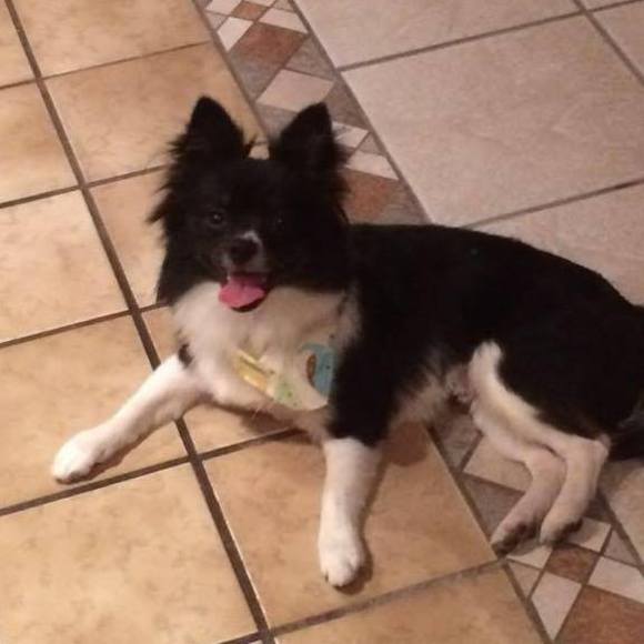 Meet your Posher, Patricia