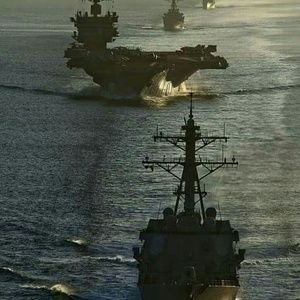 Meet your Posher, Arlene