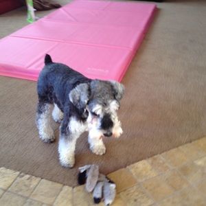 Meet your Posher, Mindy