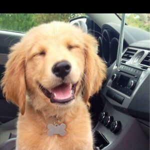 Meet your Posher, Raelyn