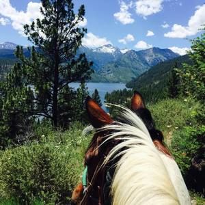 Meet your Posher, Liesl