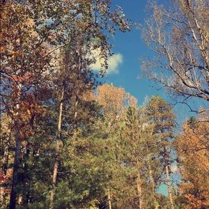 Meet your Posher, Tina