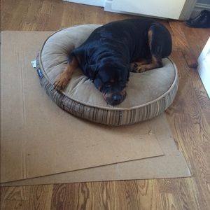 Meet your Posher, Kay