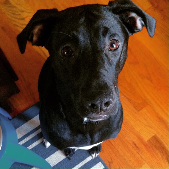 Meet your Posher, Jaclyn