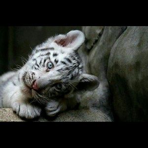 Meet your Posher, Angie