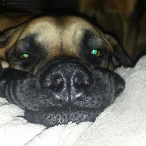 Meet your Posher, Bridget