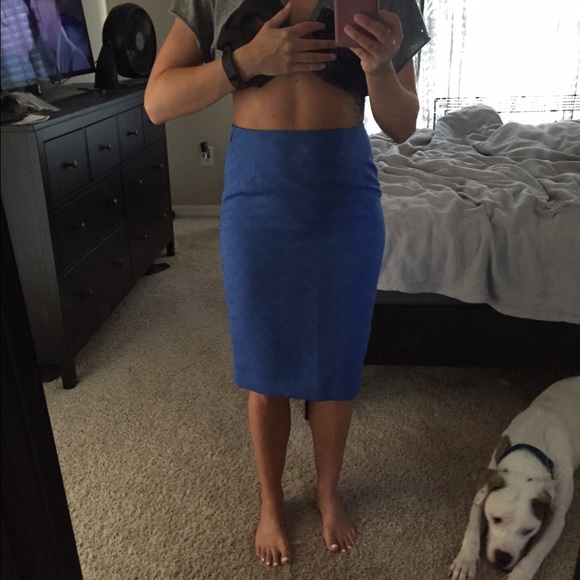 The Limited skirt