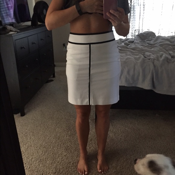 Ann Taylor skirt