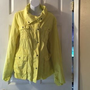 Sunny yellow jacket