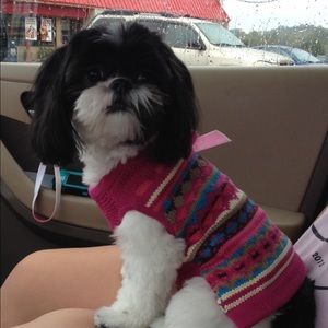 Meet your Posher, April