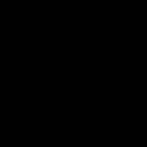 Meet your Posher, Carmen