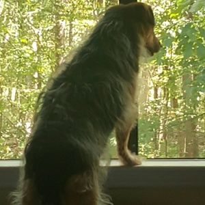 Meet your Posher, Christopher