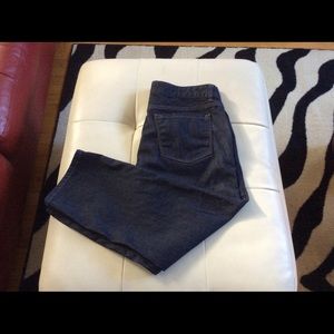 Ann Taylor Modern Crops
