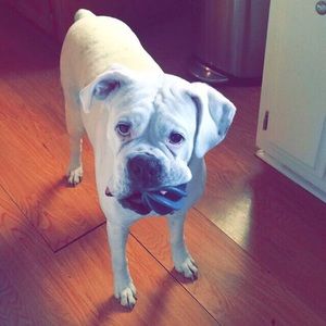 Meet your Posher, Lexi