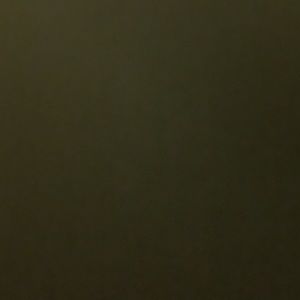 Meet your Posher, Latasha