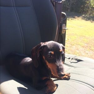 Meet your Posher, Ashleigh