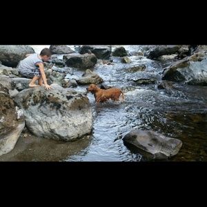 Meet your Posher, Annette