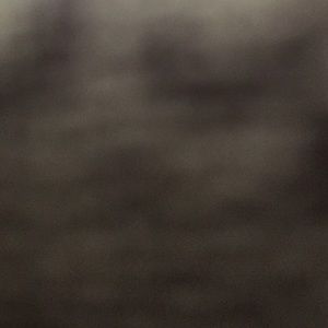 Meet your Posher, Luisa