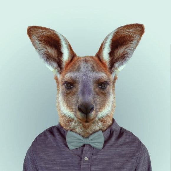 Meet your Posher, Jeremy - Picture 1 of 1