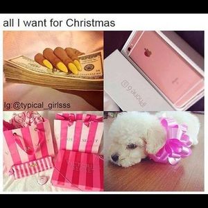 Meet your Posher, Kyra