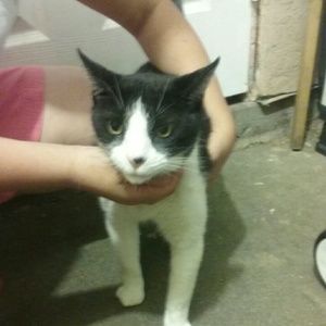 Meet your Posher, Linda