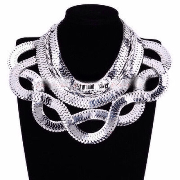 Jewelry - Arrived!  Absolutely gorgeous silver necklace.