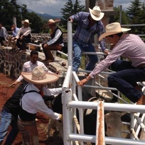 Meet your Posher, Gilberto