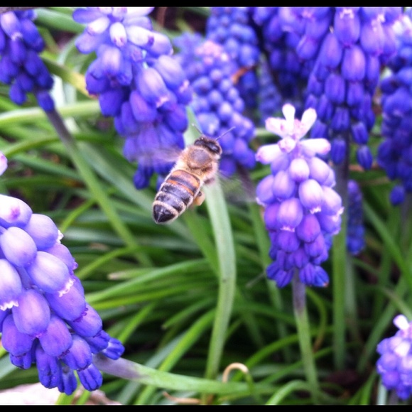 Meet your Posher, Ane - Picture 8 of 16