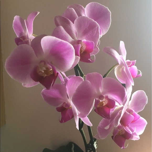 Meet your Posher, Ane - Picture 5 of 16