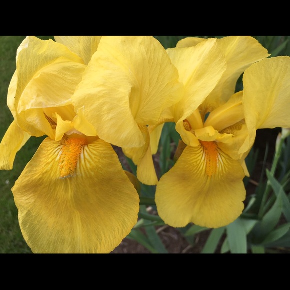 Meet your Posher, Ane - Picture 9 of 16