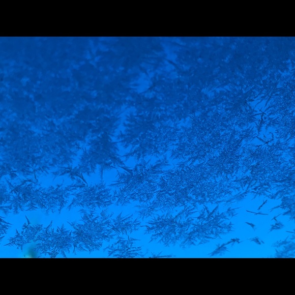 Meet your Posher, Ane - Picture 4 of 16