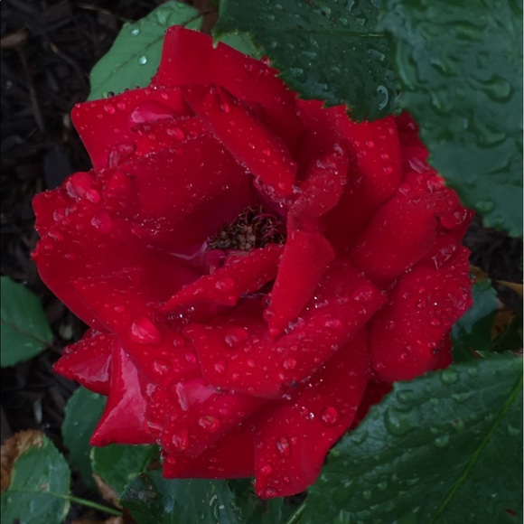 Meet your Posher, Ane - Picture 2 of 16