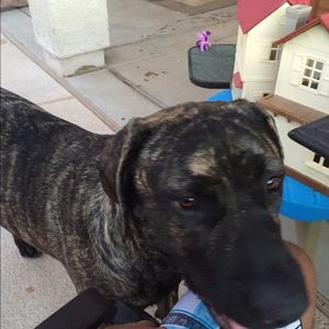 Meet your Posher, Matt