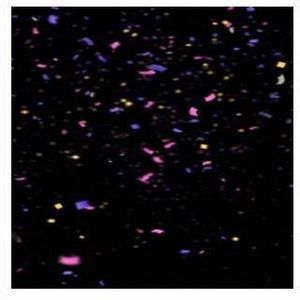 Meet your Posher, Scott