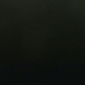 Meet your Posher, Joy