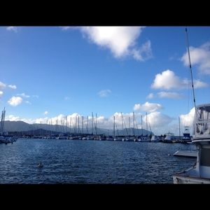 Meet your Posher, Dana