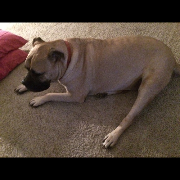 Meet your Posher, Jeffery - Picture 1 of 1